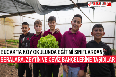 Bucak’ta Köy Okulunda Eğitimi Sınıflardan Seralara, Zeytin Ve Ceviz Bahçelerine Taşıdılar