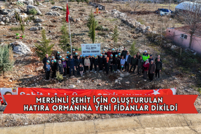 Mersinli Şehit İçin Oluşturulan Hatıra Ormanına Yeni Fidanlar Dikildi