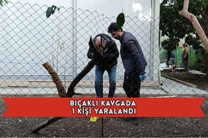 Bıçaklı Kavgada 1 Kişi Yaralandı