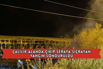 Çalılık Alanda Çıkıp Seraya Sıçrayan Yangın Söndürüldü