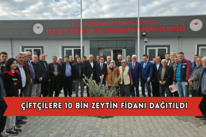 Çiftçilere 10 Bin Zeytin Fidanı Dağıtıldı