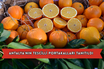 Antalya'nın Tescilli Portakalları Tanıtıldı