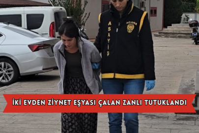 İki Evden Ziynet Eşyası Çalan Zanlı Tutuklandı