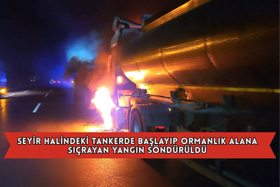 Seyir Halindeki Tankerde Başlayıp Ormanlık Alana Sıçrayan Yangın Söndürüldü