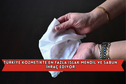 Türkiye Kozmetikte En Fazla Islak Mendil Ve Sabun İhraç Ediyor