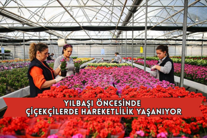 Yılbaşı Öncesinde Çiçekçilerde Hareketlilik Yaşanıyor