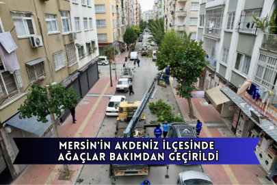Mersin'in Akdeniz İlçesinde Ağaçlar Bakımdan Geçirildi