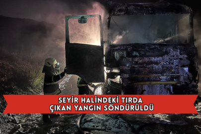 Seyir Halindeki Tırda Çıkan Yangın Söndürüldü