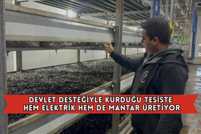 Devlet Desteğiyle Kurduğu Tesiste Hem Elektrik Hem de Mantar Üretiyor