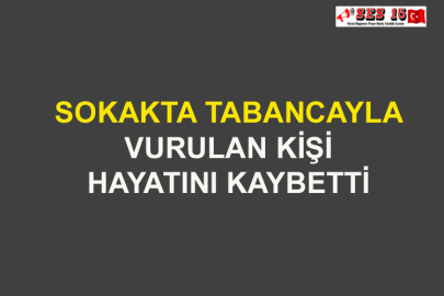Sokakta Tabancayla Vurulan Kişi Hayatını Kaybetti