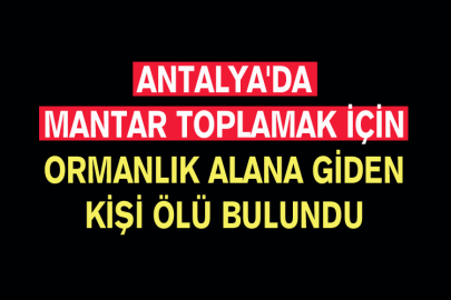 Antalya'da Mantar Toplamak İçin Ormanlık Alana Giden Kişi Ölü Bulundu