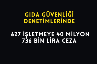 Gıda Güvenliği Denetimlerinde 627 İşletmeye 40 Milyon 736 Bin Lira Ceza