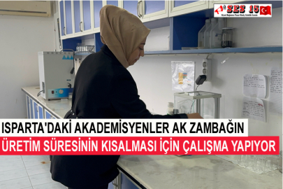 Isparta'daki Akademisyenler Ak Zambağın Üretim Süresinin Kısalması İçin Çalışma Yapıyor