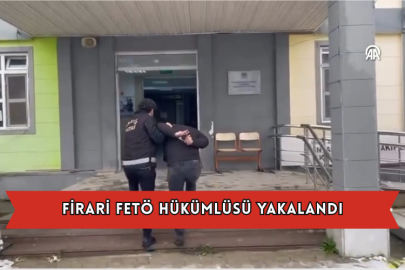 Firari Fetö Hükümlüsü Yakalandı