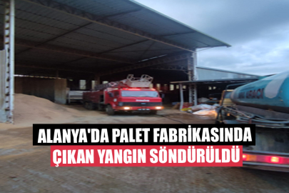 Alanya'da Palet Fabrikasında Çıkan Yangın Söndürüldü