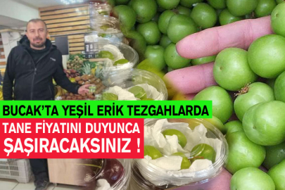Bucak’ta Yeşil Erik Tezgahlarda: Tane Fiyatını Duyunca Şaşıracaksınız !