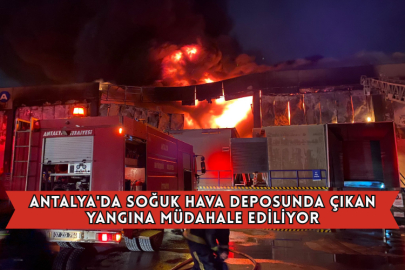 Antalya'da Soğuk Hava Deposunda Çıkan Yangına Müdahale Ediliyor