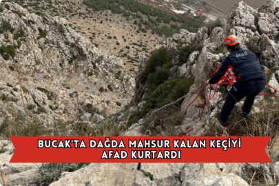 Bucak'ta Dağda Mahsur Kalan Keçiyi AFAD Kurtardı