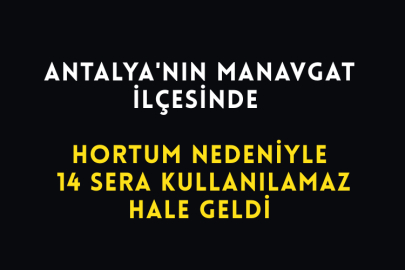 Antalya'nın Manavgat İlçesinde Hortum Nedeniyle 14 Sera Kullanılamaz Hale Geldi