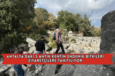 Antalya'daki 5 Antik Kentin Endemik Bitkileri Ziyaretçilere Tanıtılıyor