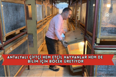 Antalyalı Çiftçi Hem Etçil Hayvanlar Hem De Bilim İçin Böcek Üretiyor
