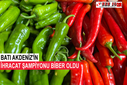 Batı Akdeniz'in İhracat Şampiyonu Biber Oldu