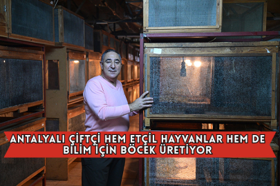 Antalyalı Çiftçi Hem Etçil Hayvanlar Hem De Bilim İçin Böcek Üretiyor