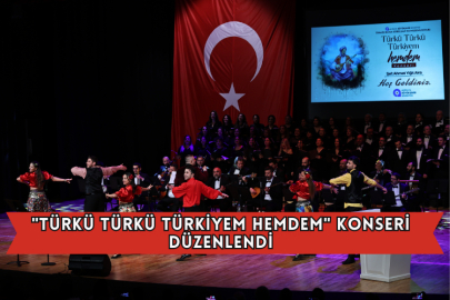 "Türkü Türkü Türkiyem Hemdem" Konseri Düzenlendi