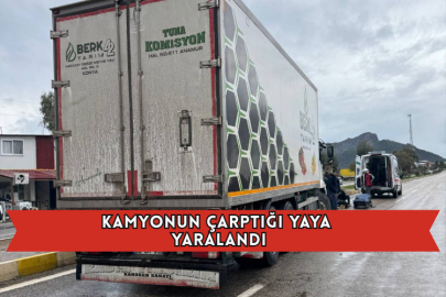 Kamyonun Çarptığı Yaya Yaralandı