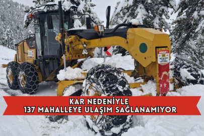 Kar Nedeniyle 137 Mahalleye Ulaşım Sağlanamıyor