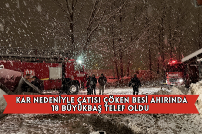 Kar Nedeniyle Çatısı Çöken Besi Ahırında 18 Büyükbaş Telef Oldu