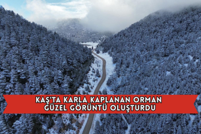 Kaş'ta Karla Kaplanan Orman Güzel Görüntü Oluşturdu