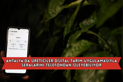 Antalya'da Üreticiler Dijital Tarım Uygulamasıyla Seralarını Telefondan İzleyebiliyor