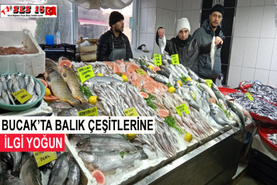 Bucak’ta Balık Çeşitlerine İlgi Yoğun