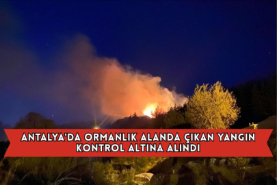 Ormanlık Alanda Çıkan Yangın Kontrol Altına Alındı
