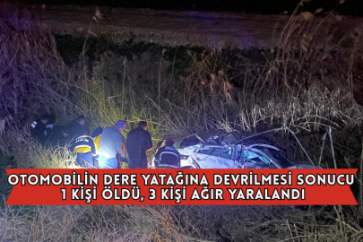 Otomobilin Dere Yatağına Devrilmesi Sonucu 1 Kişi Öldü, 3 Kişi Ağır Yaralandı