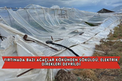 Fırtınada Bazı Ağaçlar Kökünden Söküldü, Elektrik Direkleri Devrildi