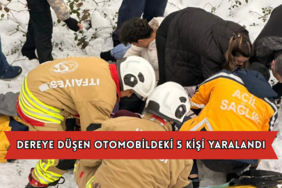 Dereye Düşen Otomobildeki 5 Kişi Yaralandı