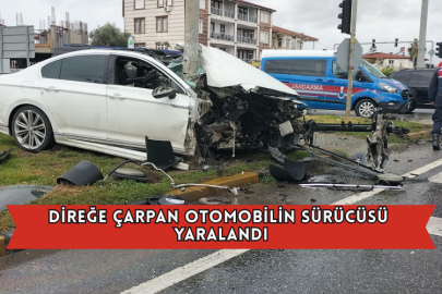 Direğe Çarpan Otomobilin Sürücüsü Yaralandı