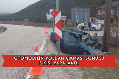 Otomobilin Yoldan Çıkması Sonucu 5 Kişi Yaralandı