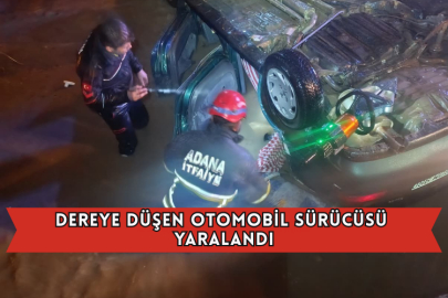 Dereye Düşen Otomobil Sürücüsü Yaralandı