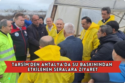 TARSİM'den Antalya'da Su Baskınından Etkilenen Seralara Ziyaret