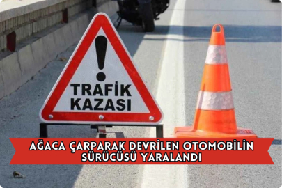Antalya'da Ağaca Çarparak Devrilen Otomobilin Sürücüsü Yaralandı