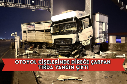 Otoyol Gişelerinde Direğe Çarpan Tırda Yangın Çıktı