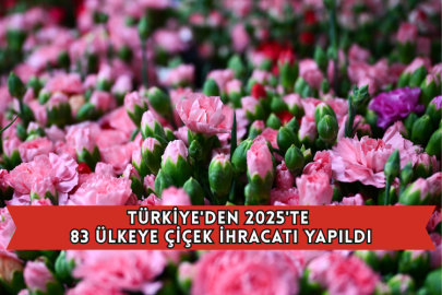 Türkiye'den 2025'te 83 Ülkeye Çiçek İhracatı Yapıldı