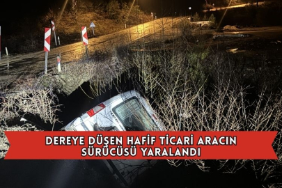 Dereye Düşen Hafif Ticari Aracın Sürücüsü Yaralandı