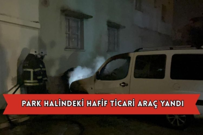 Park Halindeki Hafif Ticari Araç Yandı