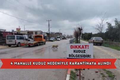 4 Mahalle Kuduz Nedeniyle Karantinaya Alındı