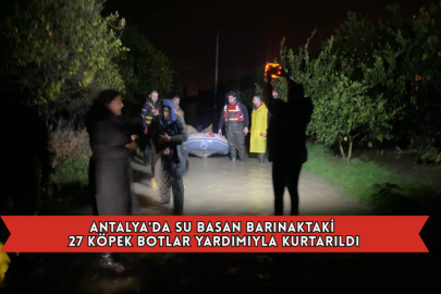 Antalya'da Su Basan Barınaktaki 27 Köpek Botlar Yardımıyla Kurtarıldı
