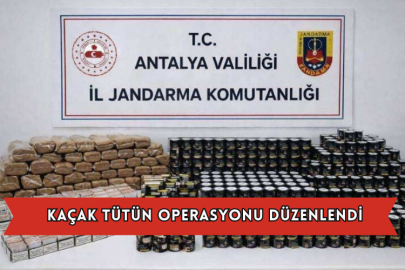 Kaçak Tütün Operasyonu Düzenlendi